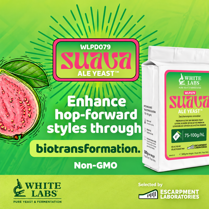 White Labs - Suava - WLP079 - Dry Yeast - 500g 