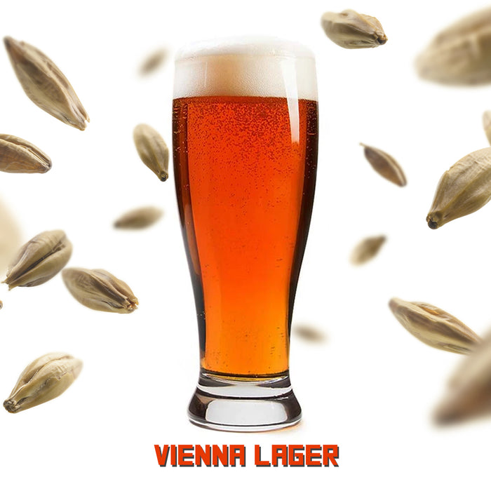 Recette tout grain Vienna Lager