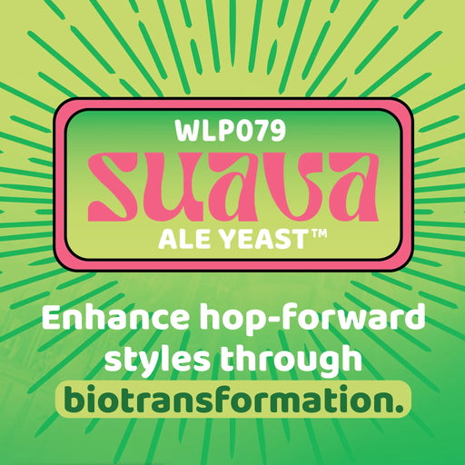WLP079 Suava Dry Ale Yeast - White Labs