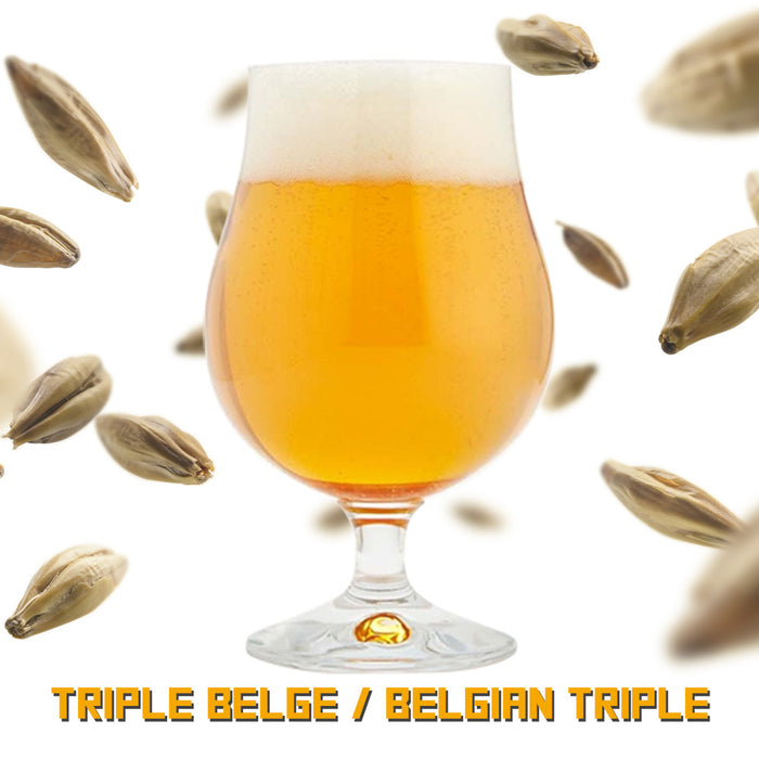 Triple Belge Recette Tout Grain 20L - Hoppy.ca
