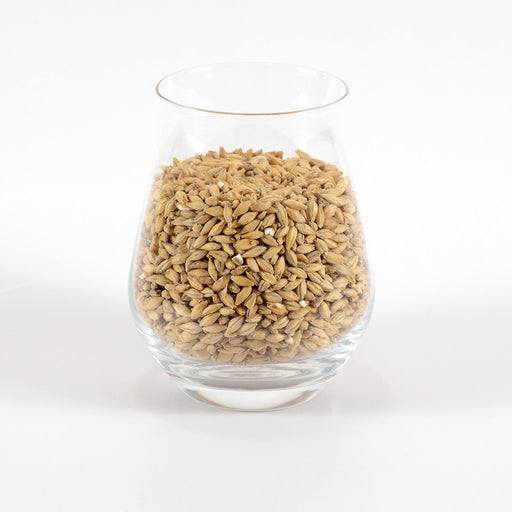 1kg Floor-Malted Bohemian Pilsner Malt - Weyermann
